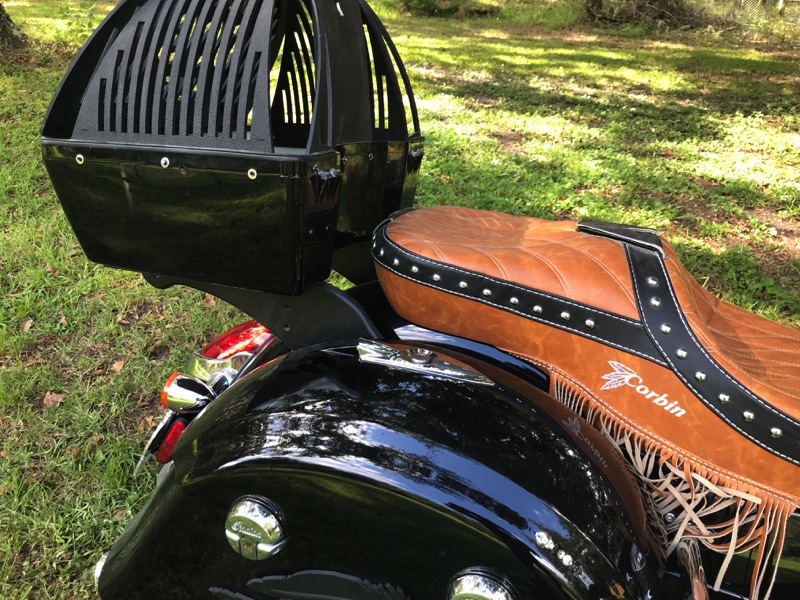 motorcycle tank pet carrier